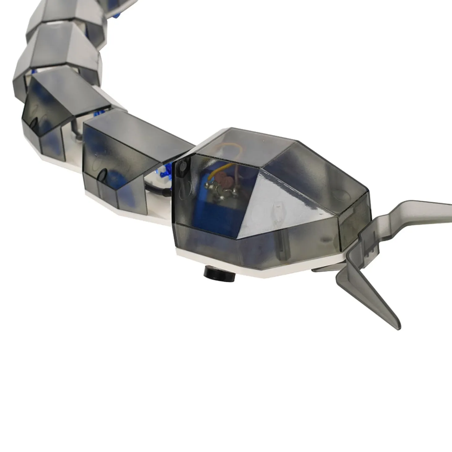 Playsteam RC Robot Snake