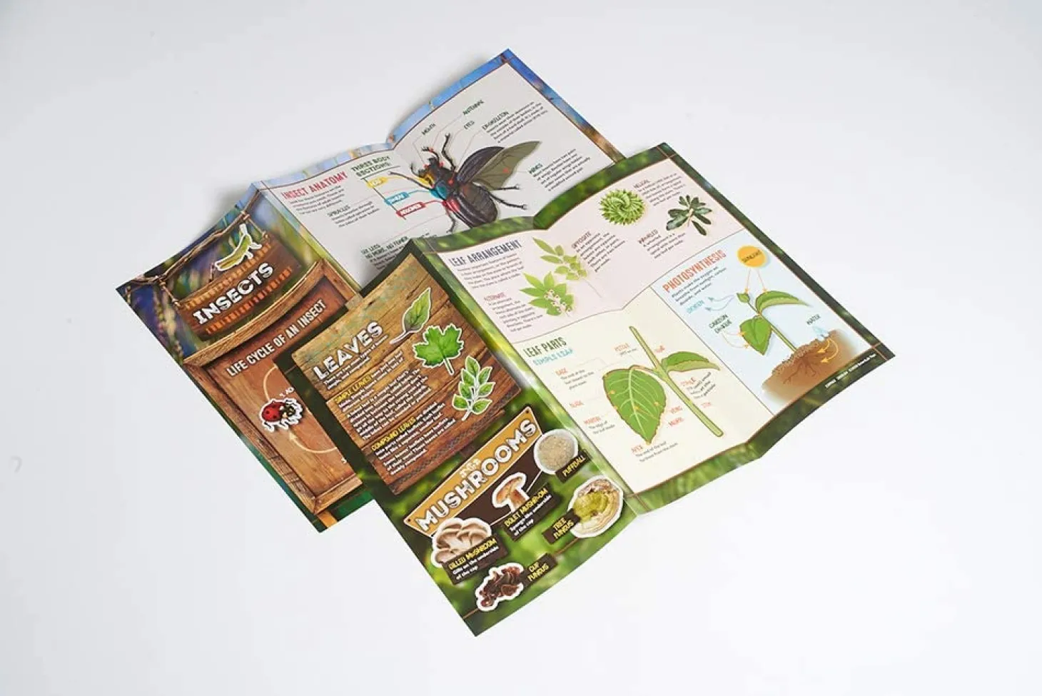 SmartLab Outdoor Science Lab Bugs, Dirt & Plants